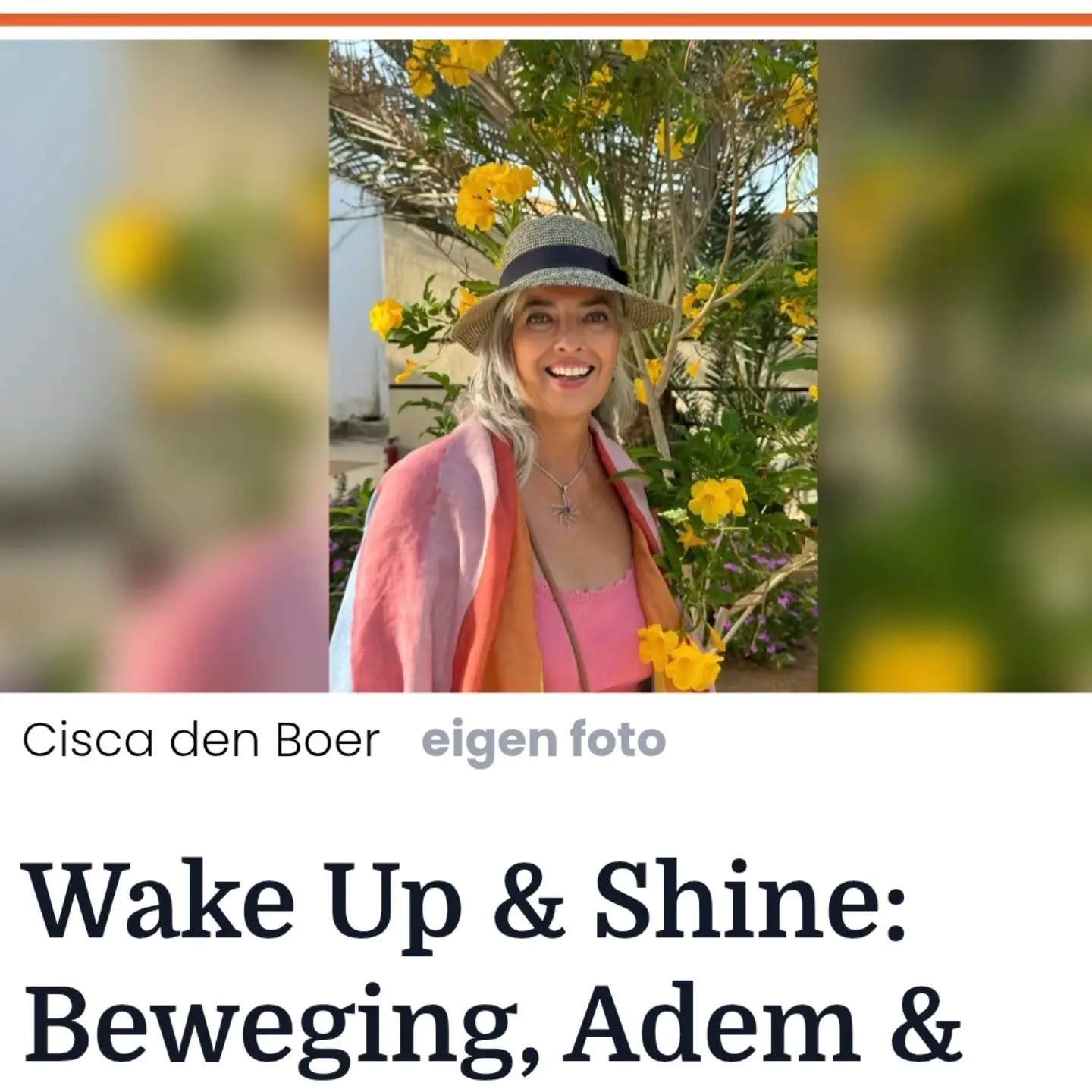 Chillicious meditatie
