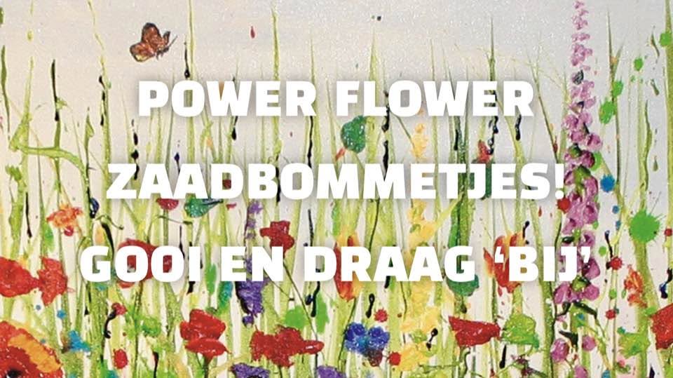 Dikke Gudde